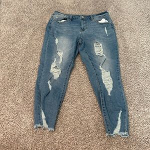 Indigo Rein Crop Jeans